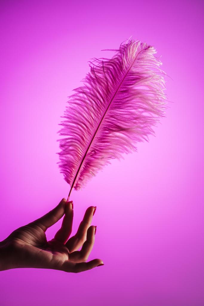 ピンクに分離されたピンクの柔らかい羽で女性の手の部分的なビュー - 写真・画像
