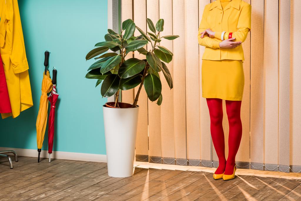 частковий вид на жінку в стилі ретро, що стоїть на рослині фікус у вазоні в барвистій квартирі, концепція лялькового будинку
 - Фото, зображення