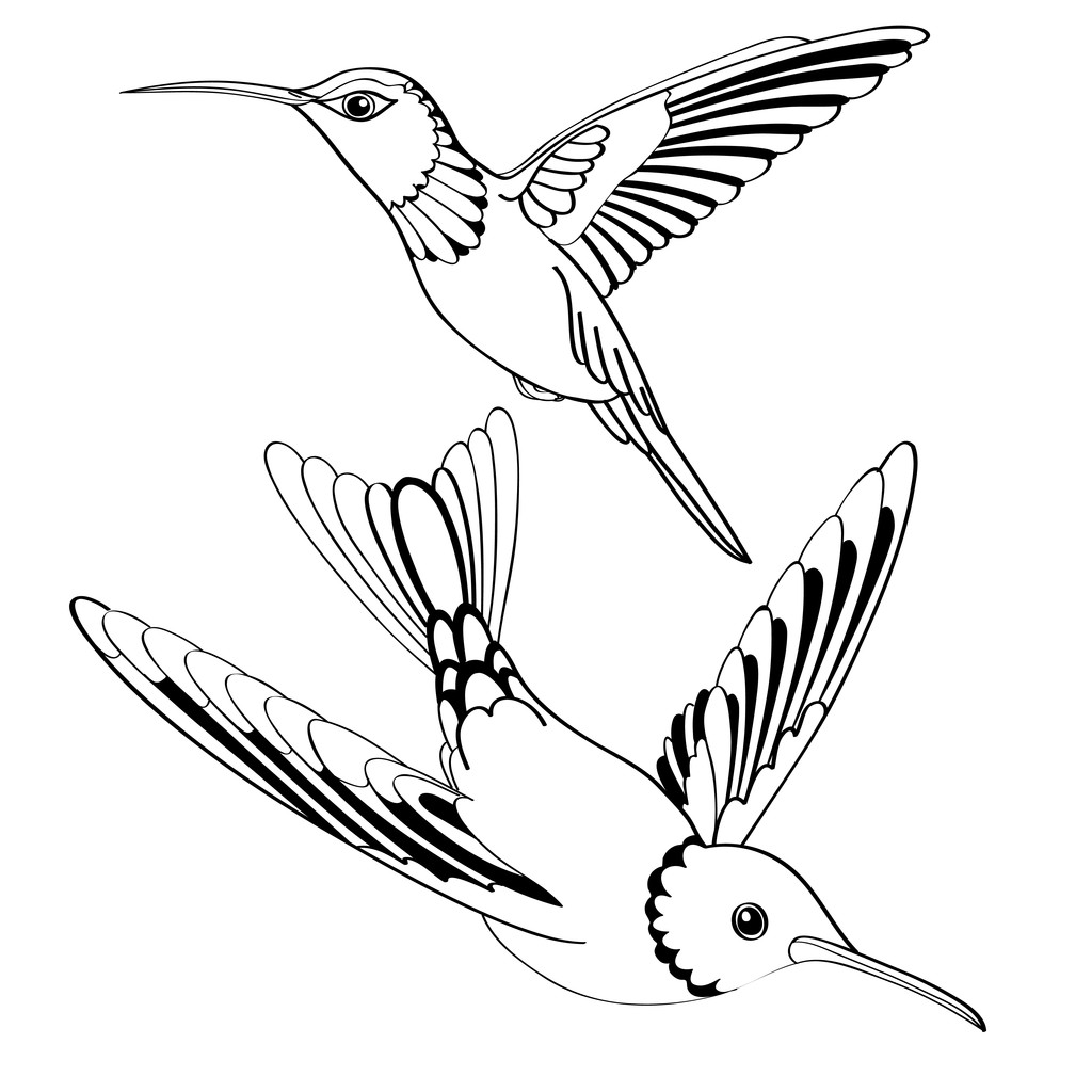 Vektor madarak, fekete-fehér - Vektor, kép