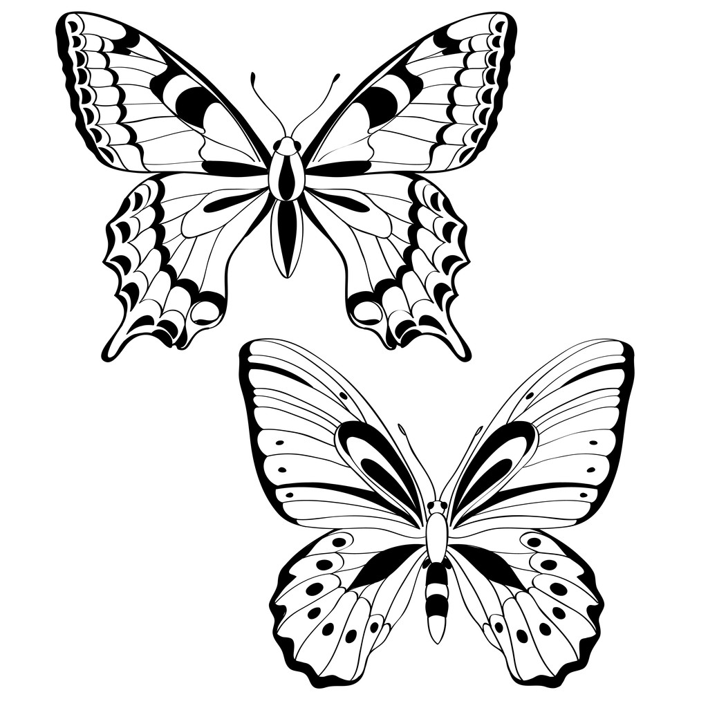 Fekete-fehér - vektoros illusztráció vektor pillangók - Vektor, kép
