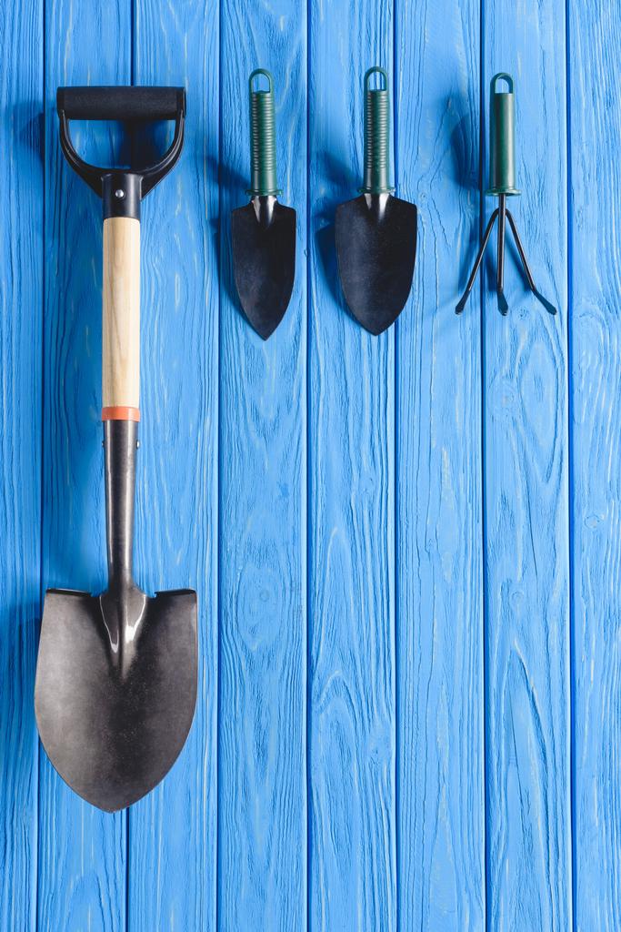 vista superior de ferramentas de jardinagem dispostas colocadas em linha em tábuas de madeira azul
  - Foto, Imagem