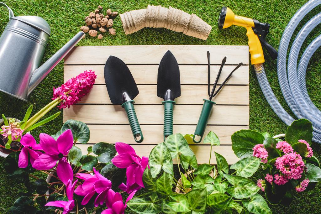 верхний вид садового оборудования и цветов на траве
 - Фото, изображение