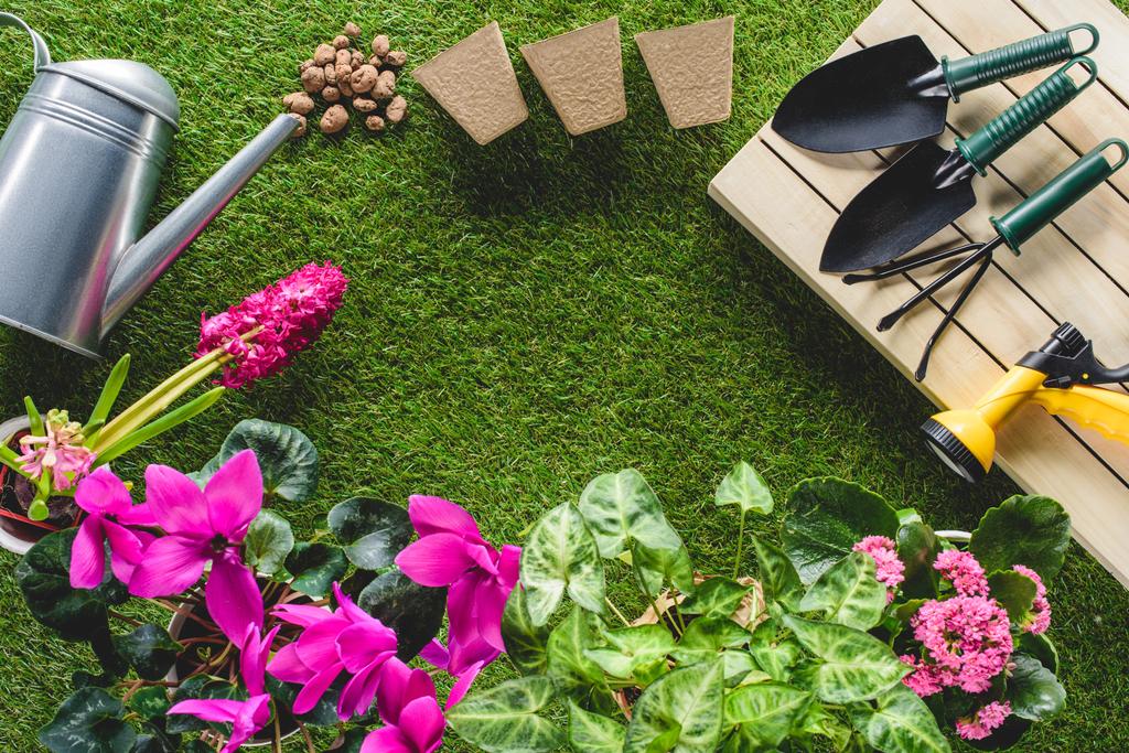 top view of flowers and arranged gardening equipment on grass - Photo, Image