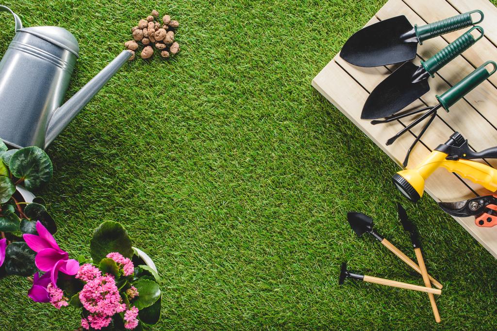 το Top view τοποθετημένα εξοπλισμού κηπουρικής και λουλούδια στο γρασίδι - Φωτογραφία, εικόνα