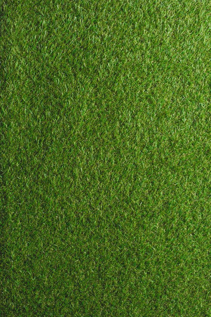 full frame image of green lawn background  - Photo, Image