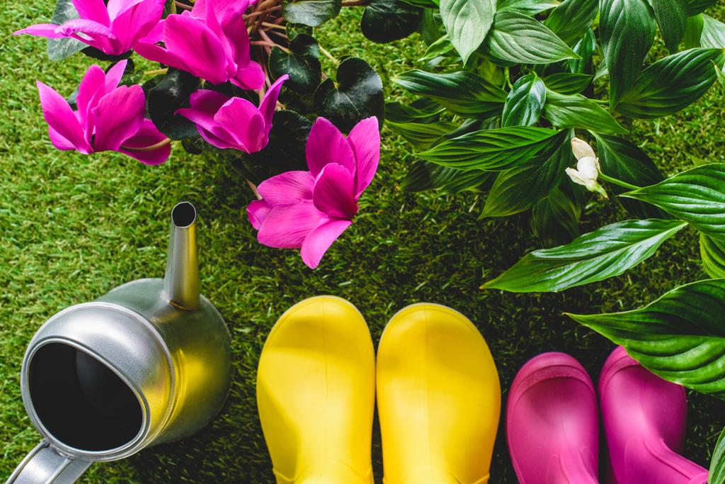 top view of colorful rubber boots, watering can and flowers - Photo, Image