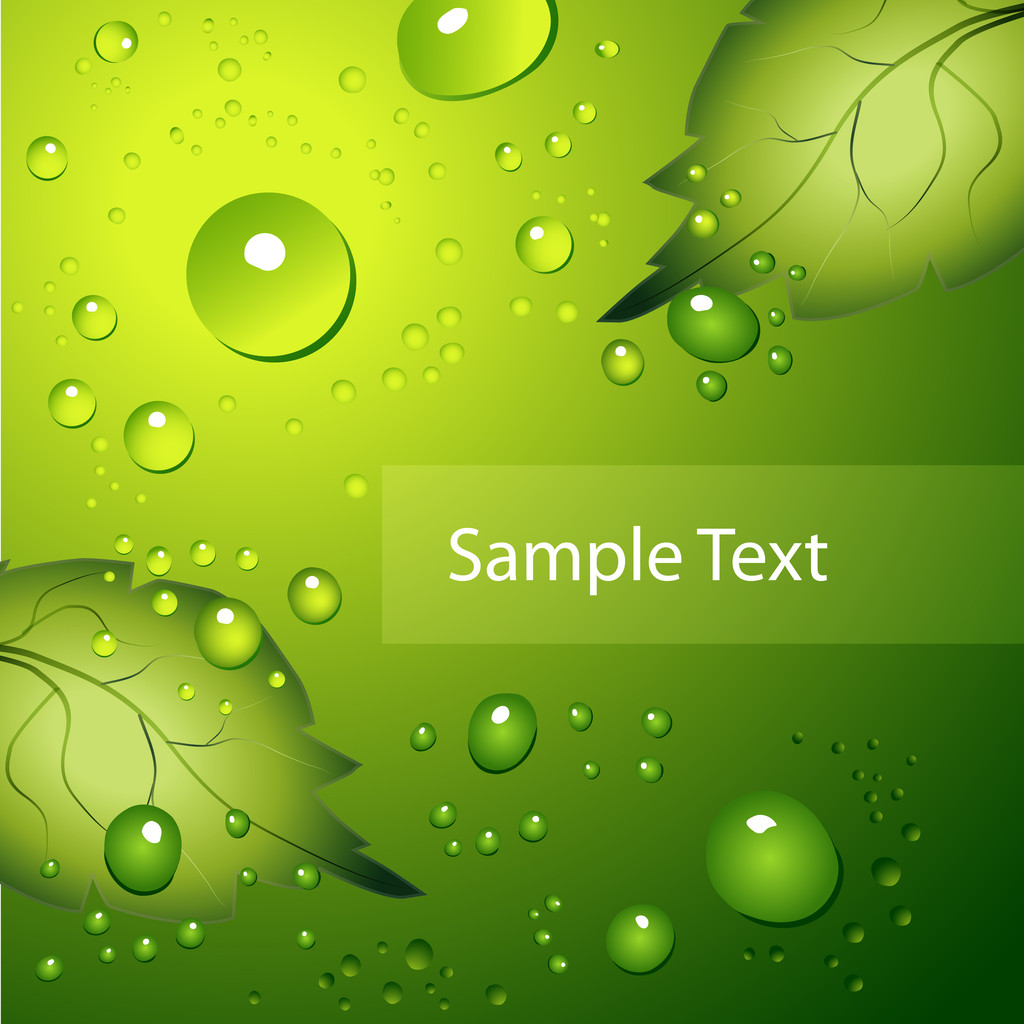 Water drops on green background. - Vector, Image