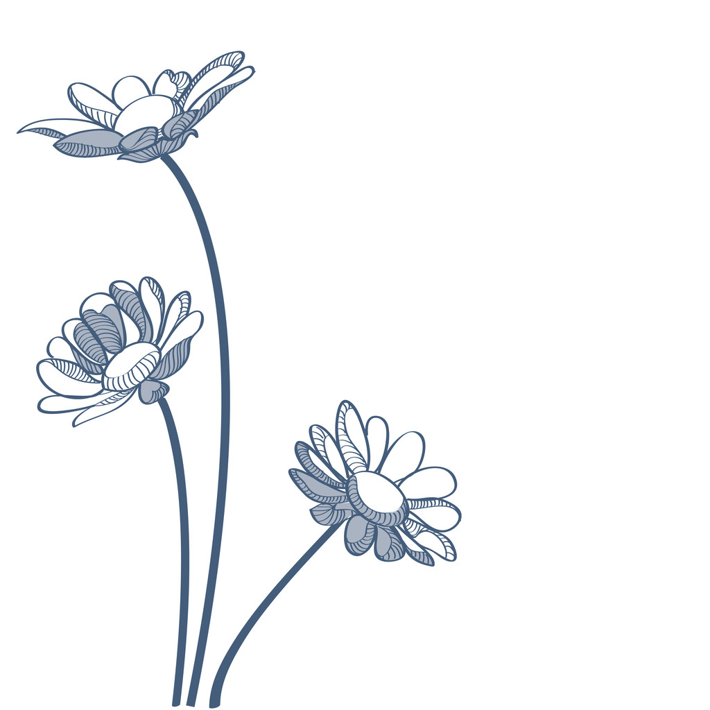 Blue camomiles - vector illustration - Vector, Image