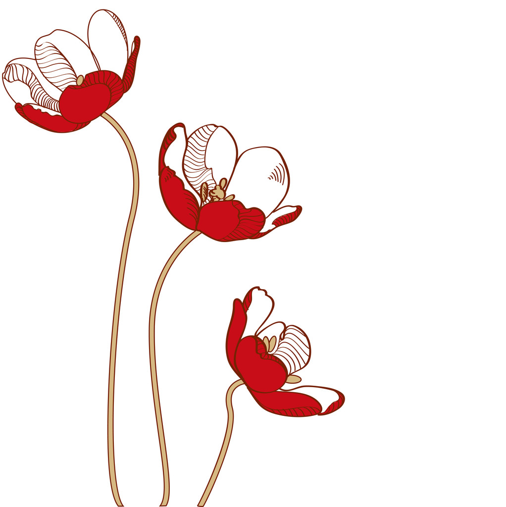 Vector red tulips. Vector illustration.  - Vector, Image