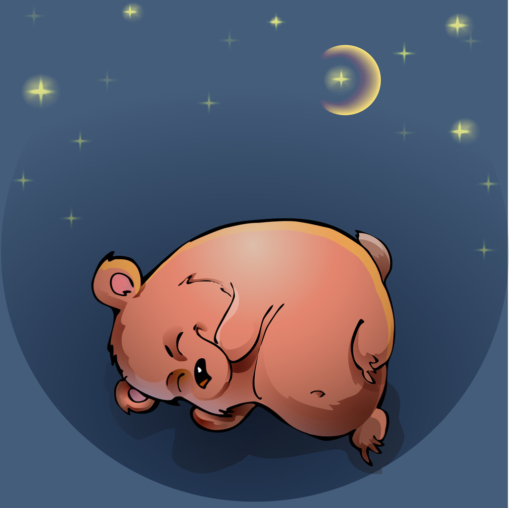 Teddy bear sleeping under the night sky - Vector, Image