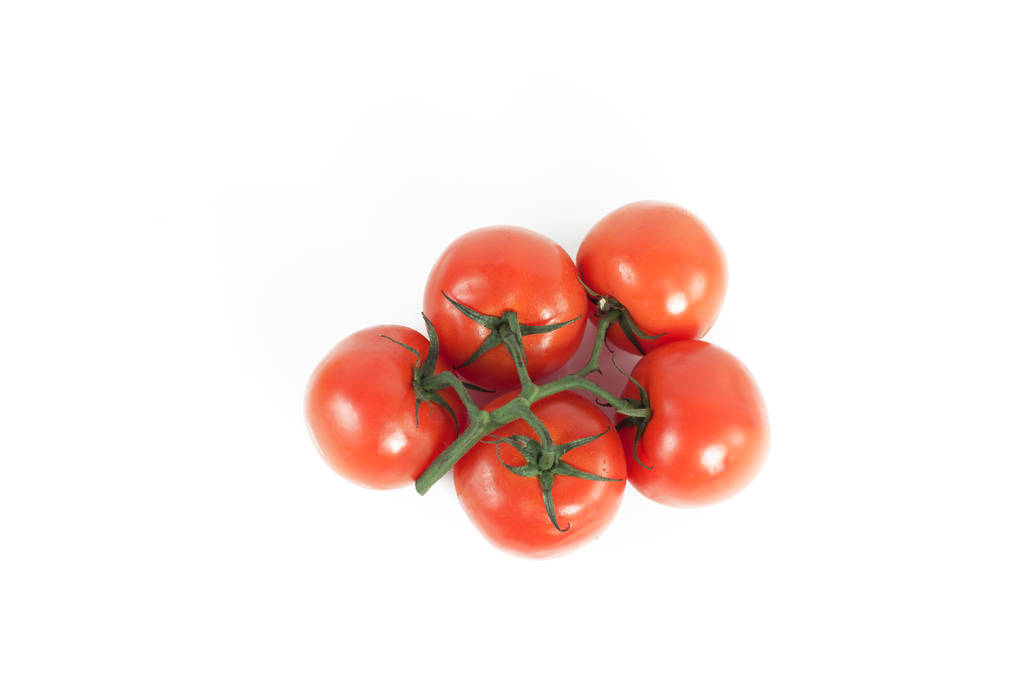 tomatoes on a branch .isolated white background - Photo, Image
