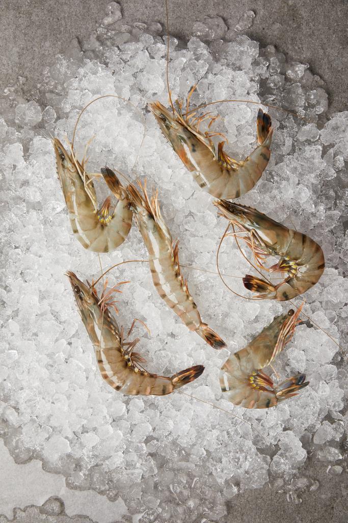 top view of raw prawns on crushed ice - Photo, Image