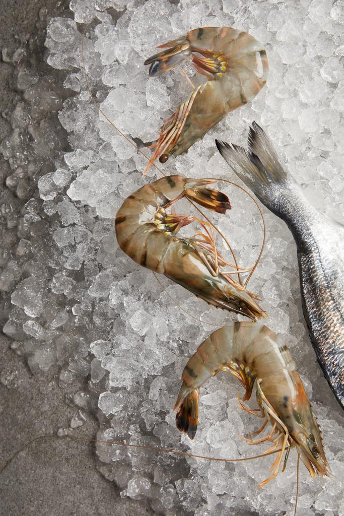 砕いた氷に生の魚やエビのトップ ビュー - 写真・画像