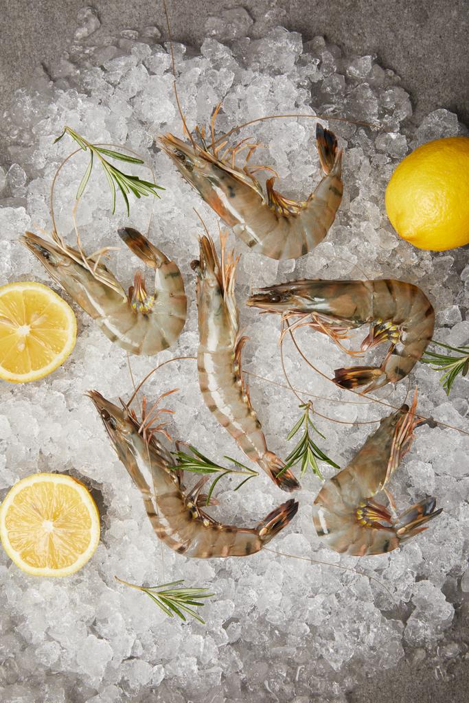 top view of raw shrimps with rosemary and lemon slices on crushed ice - Photo, Image