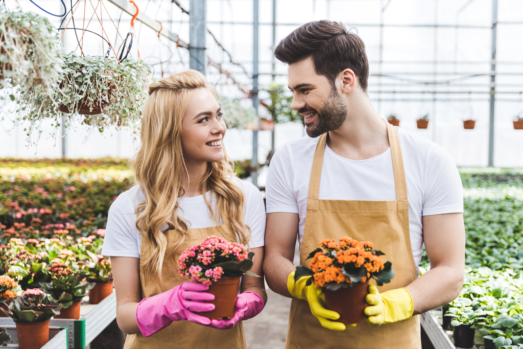 Садовники в защитных перчатках и с цветущими цветами в горшках
 - Фото, изображение