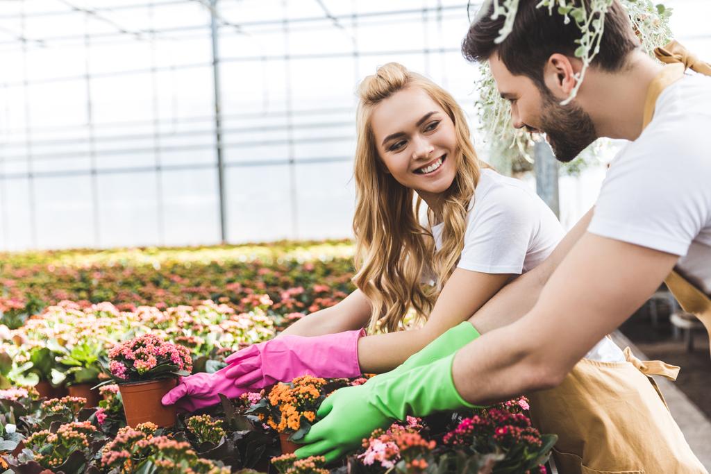 Jovens jardineiros masculinos e femininos organizando vasos com flores
 - Foto, Imagem