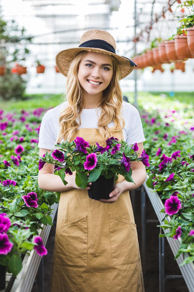 Jardinero sonriente sosteniendo maceta con flores en invernadero
 - Foto, Imagen