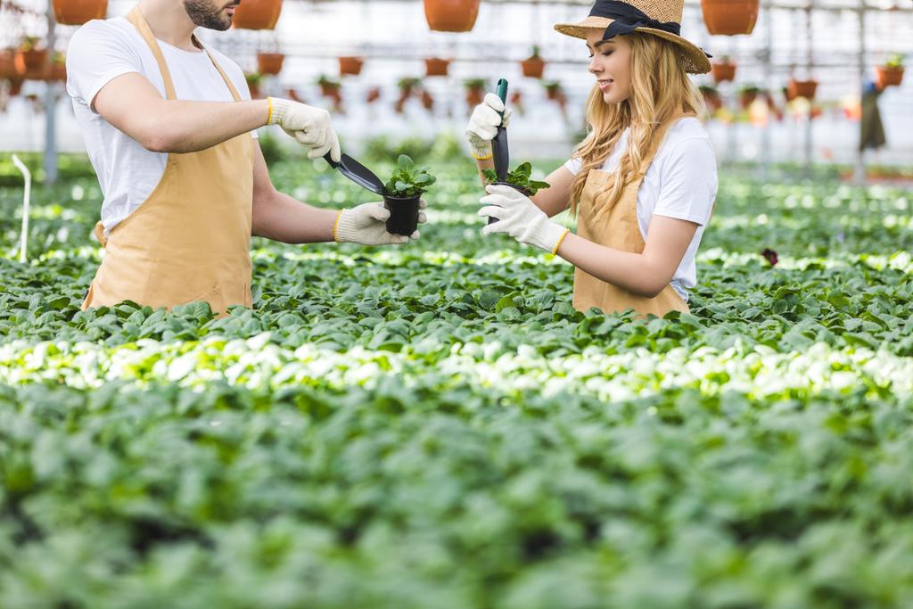 Jóvenes jardineros masculinos y femeninos con palas plantando flores en invernadero
 - Foto, Imagen