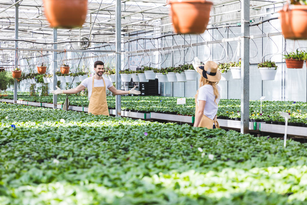 Jóvenes jardineros masculinos y femeninos que trabajan entre plantas en invernadero
 - Foto, imagen