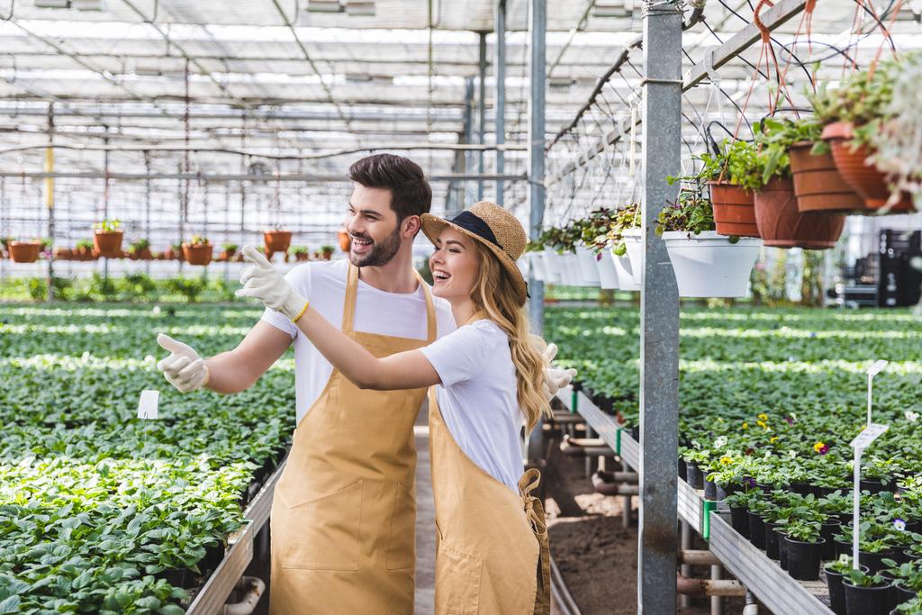 Blonde woman and handsome man in aprons talking among flowers in glasshouse - Photo, Image