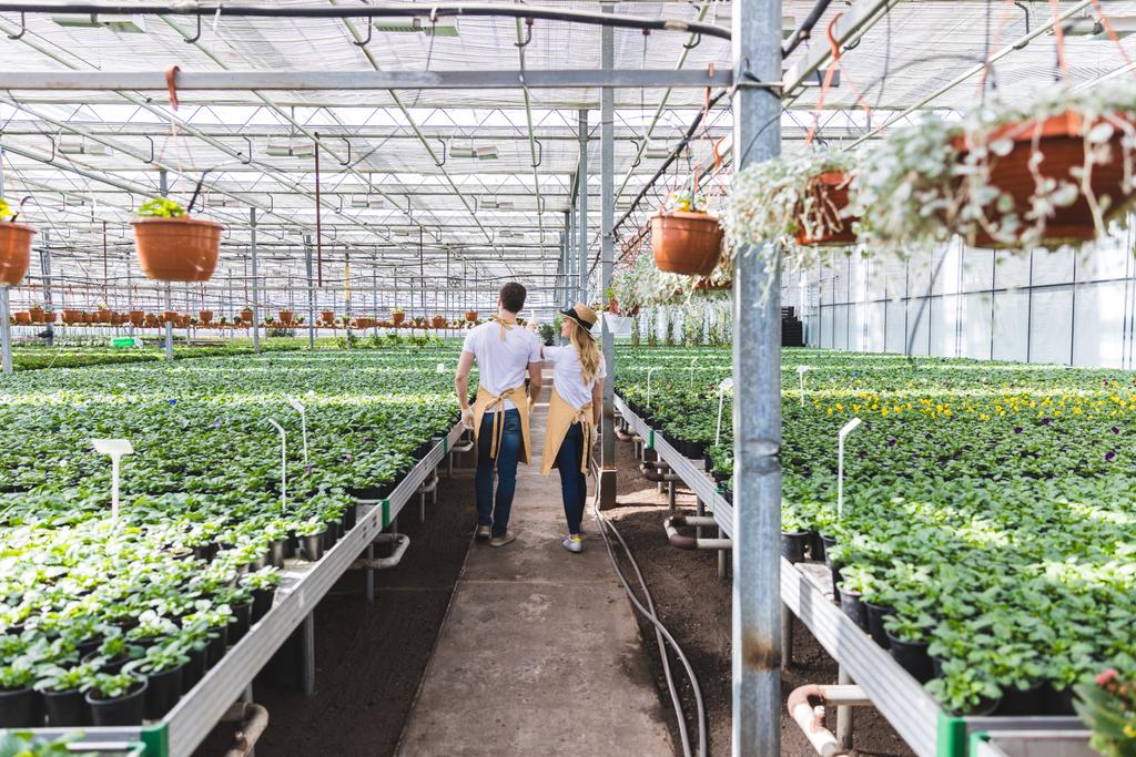 Pareja de jardineros caminando entre plantas en invernadero
 - Foto, Imagen