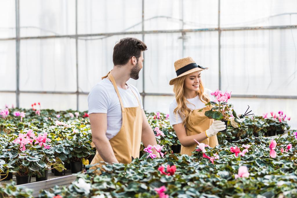 Couple of faemers in gloves working in greenhouse with flowers - Photo, Image