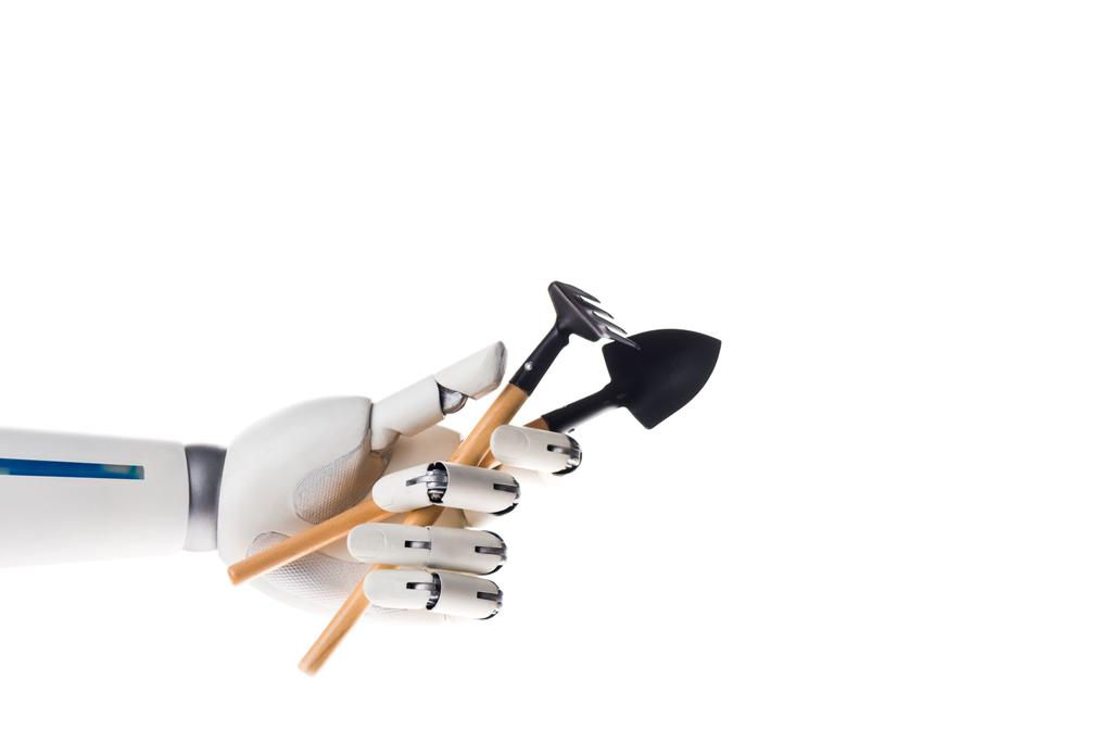 園芸用の鍬とシャベルを白で隔離ハンド ロボット - 写真・画像