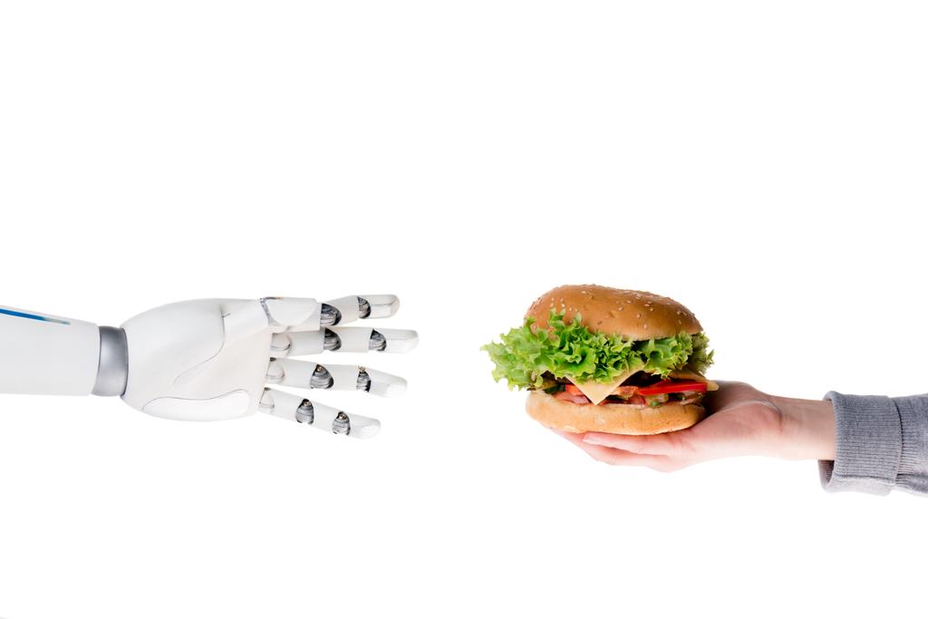 cropped shot of human giving burger to robot isolated on white - Photo, Image
