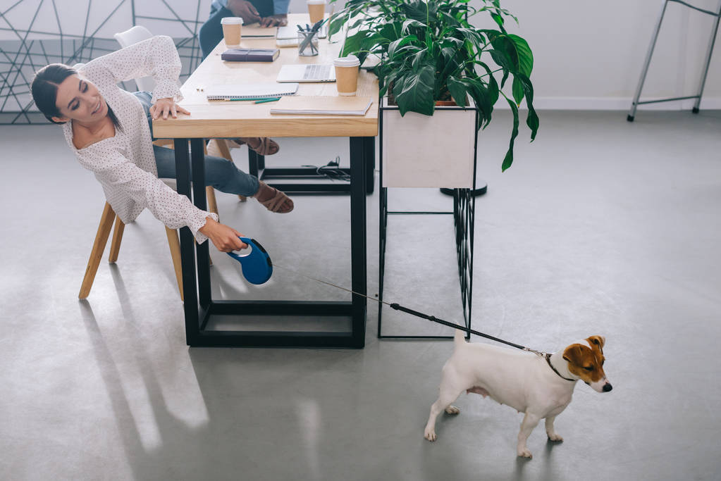 businesswoman holding jack russel terrier on leash and colleague sitting behind on table in modern office - Photo, Image
