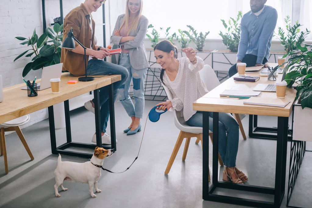 деловая женщина, играющая с Джеком Русселем терьером на поводке и коллегами, стоящими позади в современном офисе
 - Фото, изображение