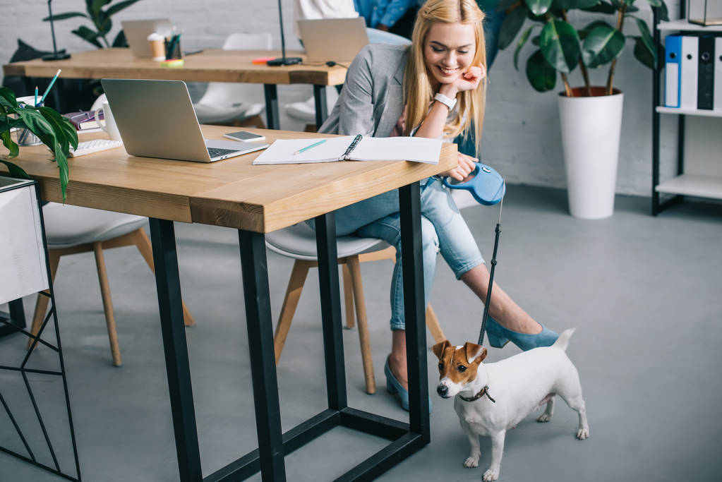 joven sonriente mujer de negocios sosteniendo jack russell terrier con correa
 - Foto, imagen