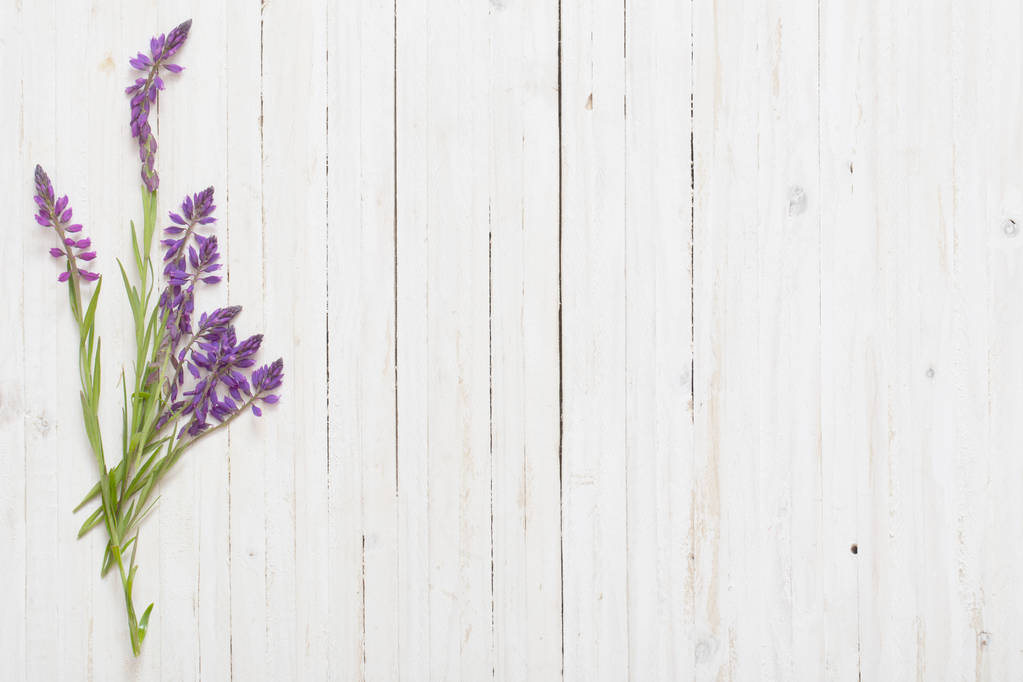 violetti kukkia valkoinen puinen tausta
  - Valokuva, kuva