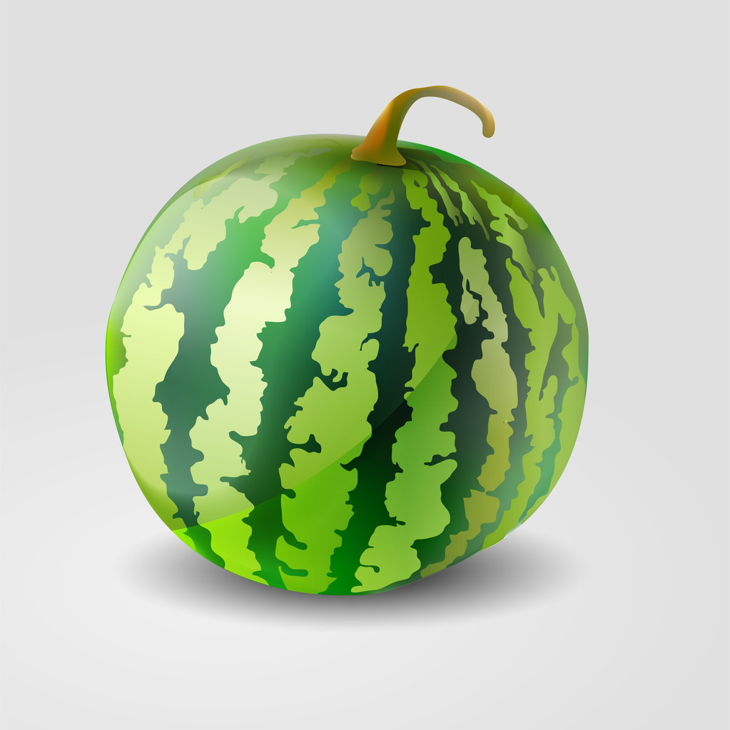vectorillustratie van een watermeloen. - Vector, afbeelding