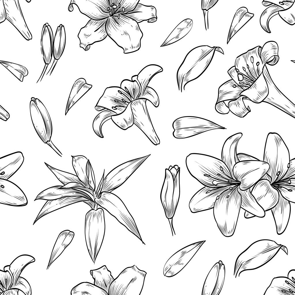 Vector hand drawn lily seamless pattern - Vector, Image