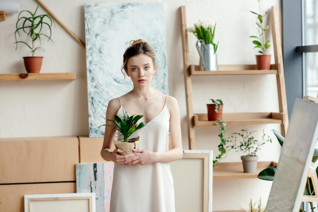 hermosa mujer joven sosteniendo maceta planta y mirando a la cámara en el estudio de arte
 - Foto, imagen