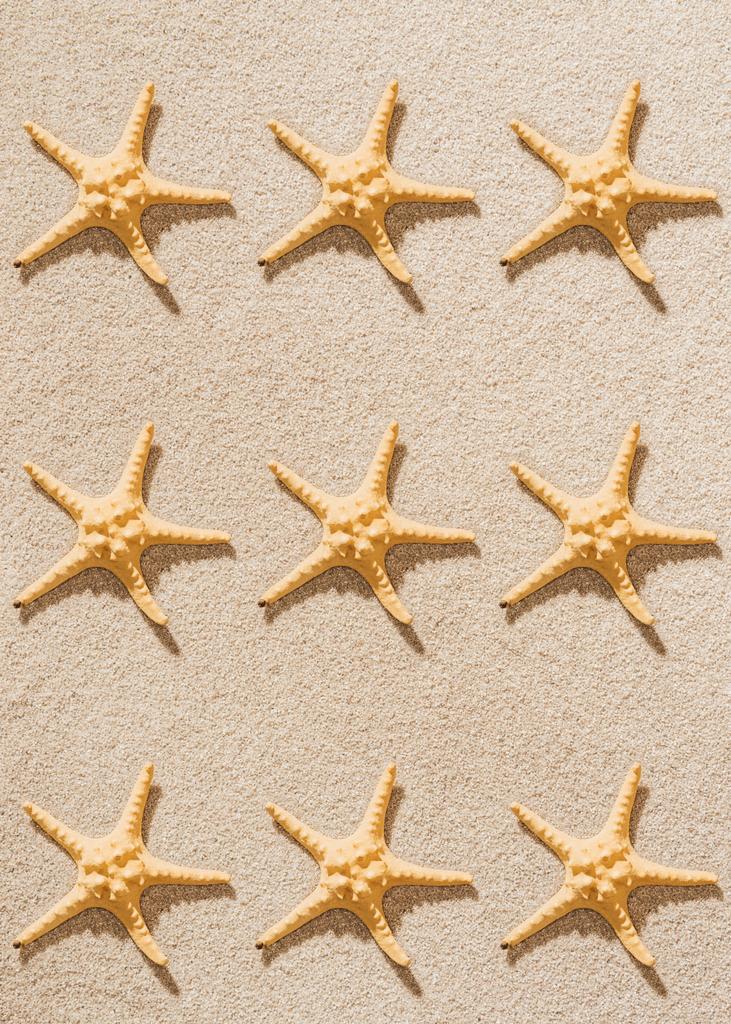 vue de dessus de la répétition des étoiles de mer sur la plage de sable
 - Photo, image