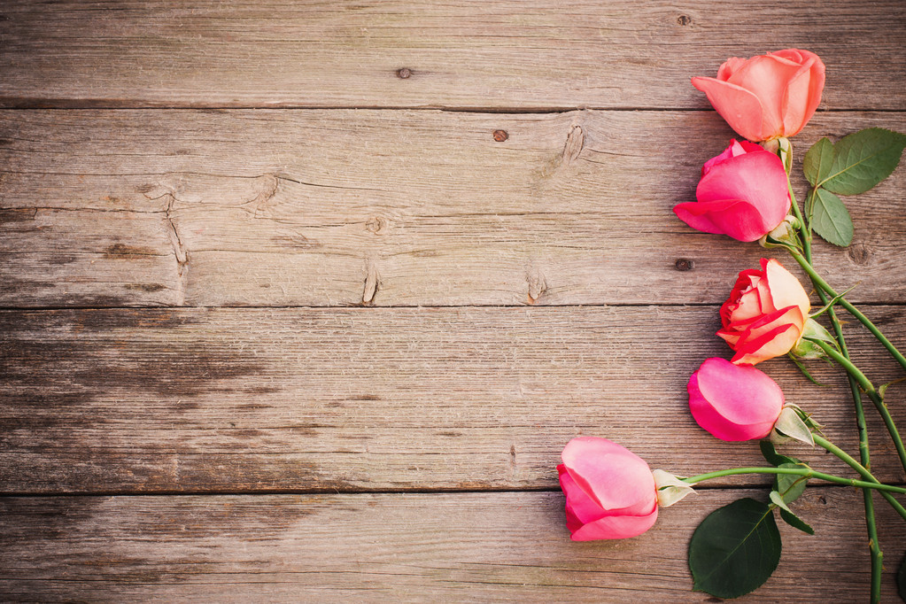 rose on wooden background - Photo, Image