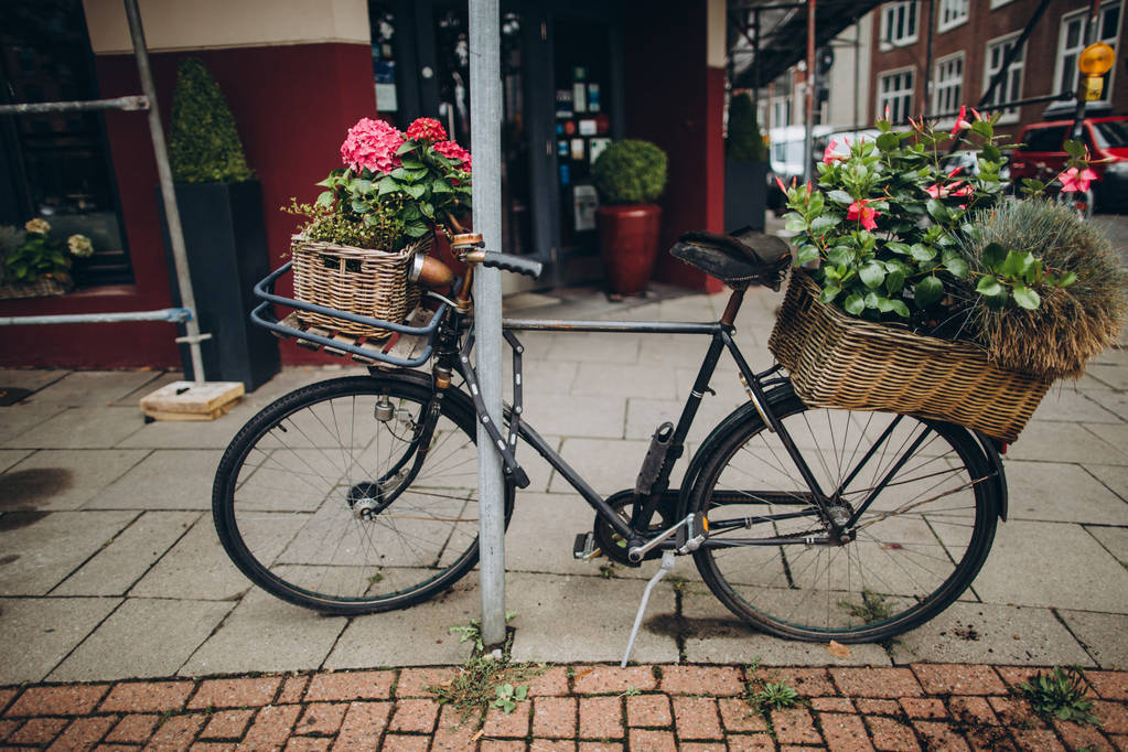 велосипед с корзинами
 - Фото, изображение