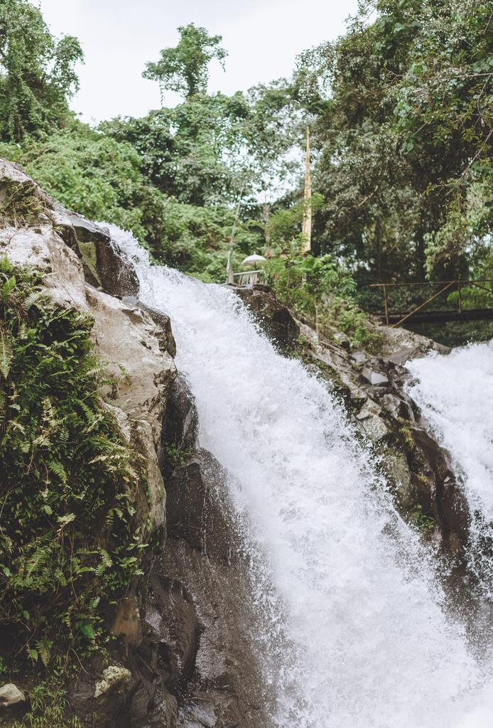 malebný pohled na Gitgit Waterfall a různé zelené rostliny, Bali, Indonésie - Fotografie, Obrázek