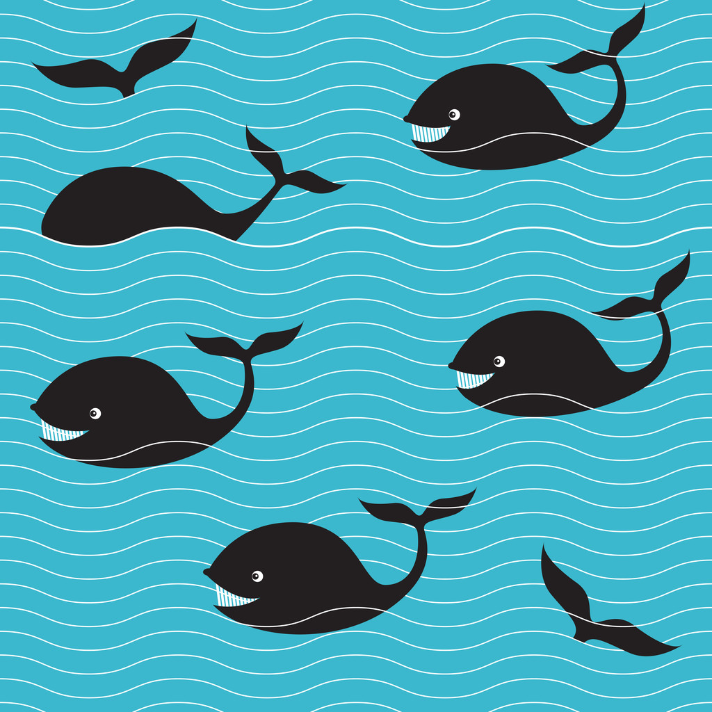 zee en walvis - Vector, afbeelding
