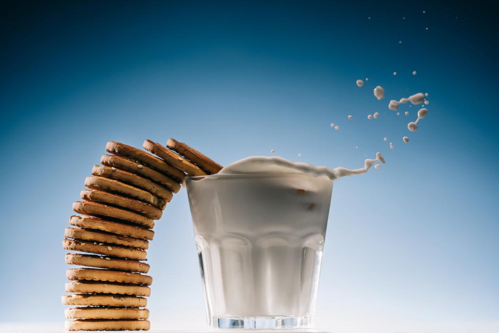 Empilement de biscuits éclaboussant dans un verre de lait isolé sur fond bleu
 - Photo, image