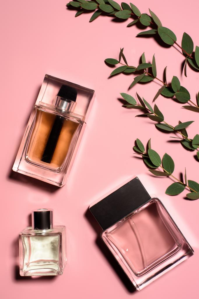 vue de dessus des bouteilles de parfums avec des branches vertes sur la surface rose
 - Photo, image
