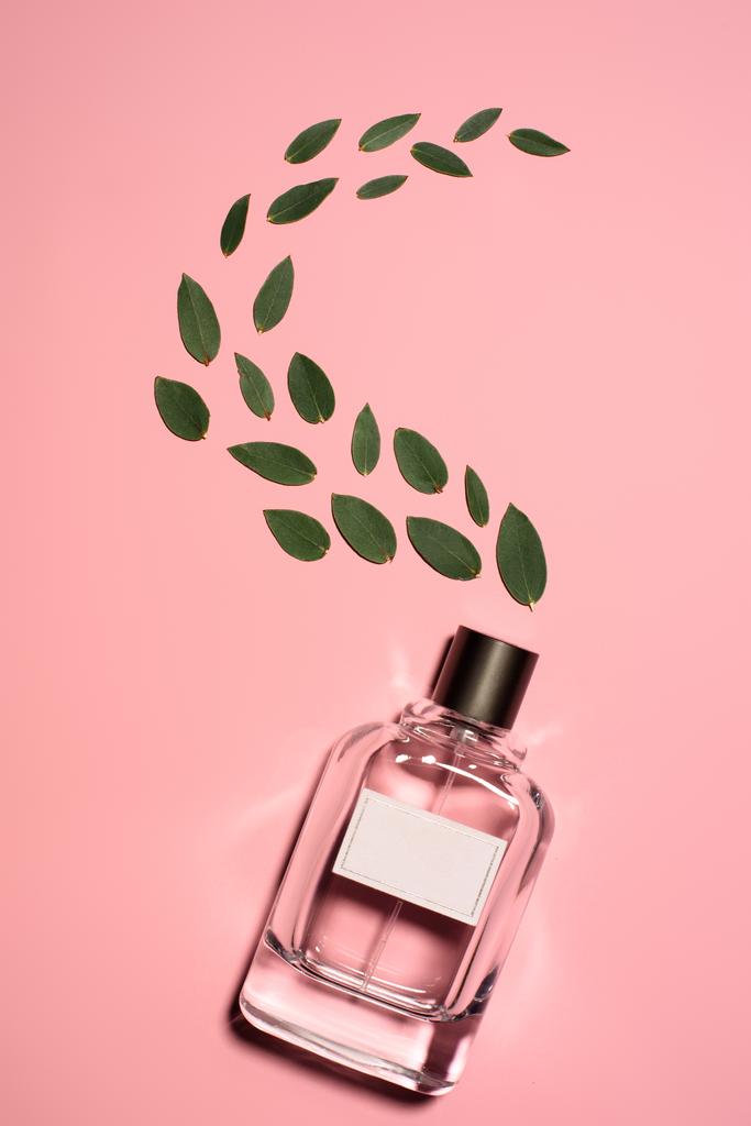 top view of bottle of perfume with composed green leaves on pink surface - Photo, Image