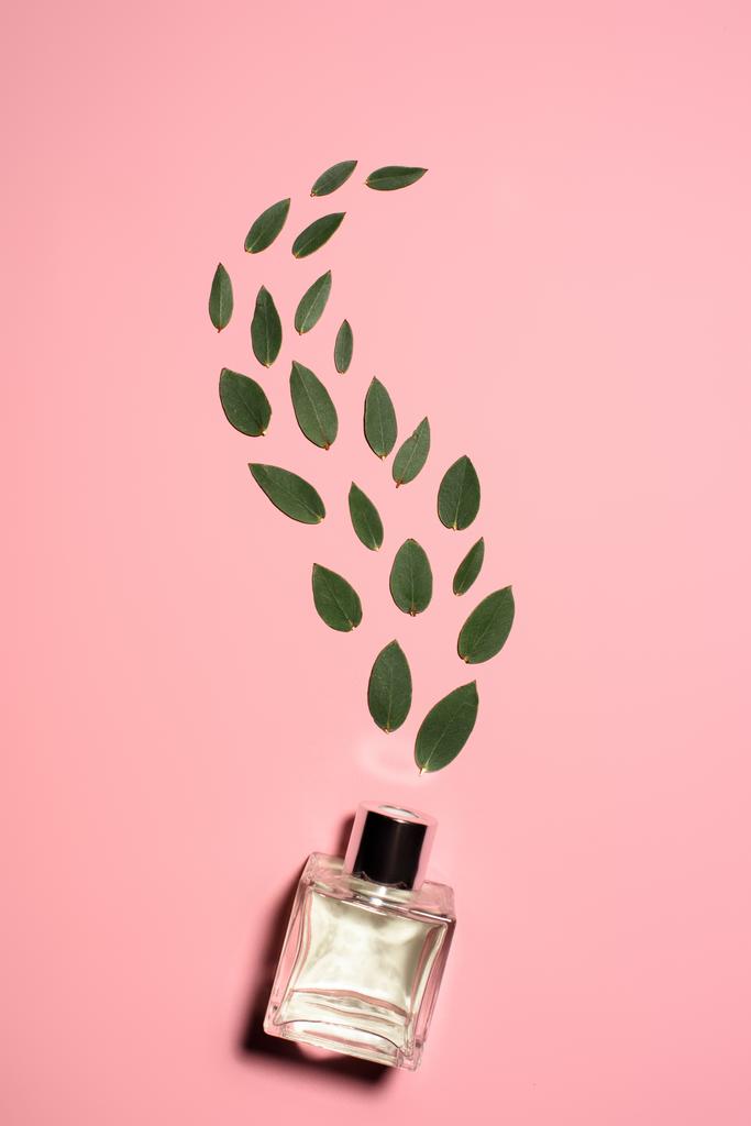 felülnézet üveg parfüm pink felületen álló zöld levelekkel - Fotó, kép