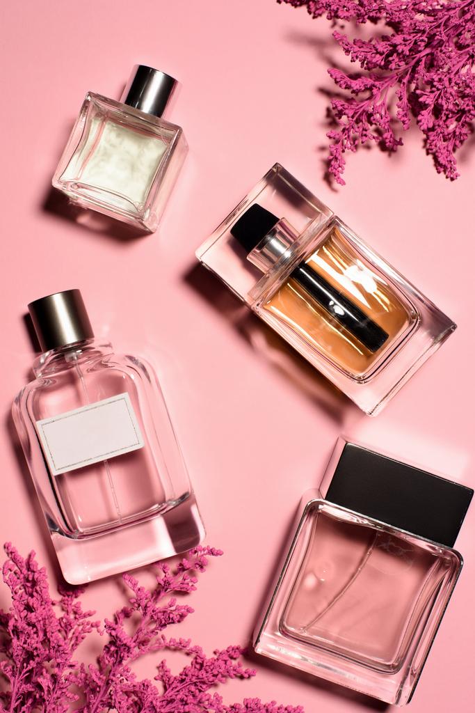 felülnézet palackok a parfümöt, rózsaszín virágokkal - Fotó, kép