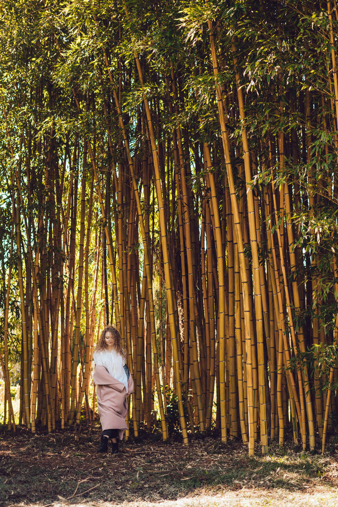 mujer joven con estilo en un abrigo se encuentra cerca de un árbol de bambú alto en un parque
 - Foto, Imagen