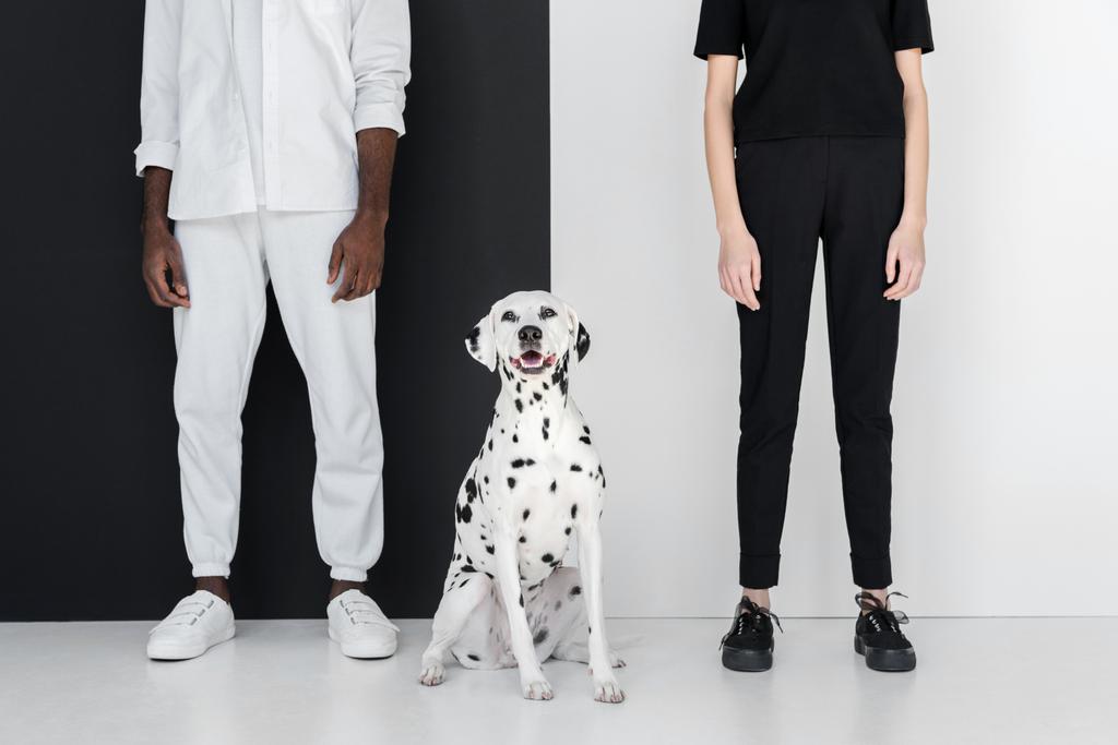 アフリカ系アメリカ人の彼氏とダルメシアン犬の黒と白の壁の近くに立っている彼女のトリミングされた画像 - 写真・画像