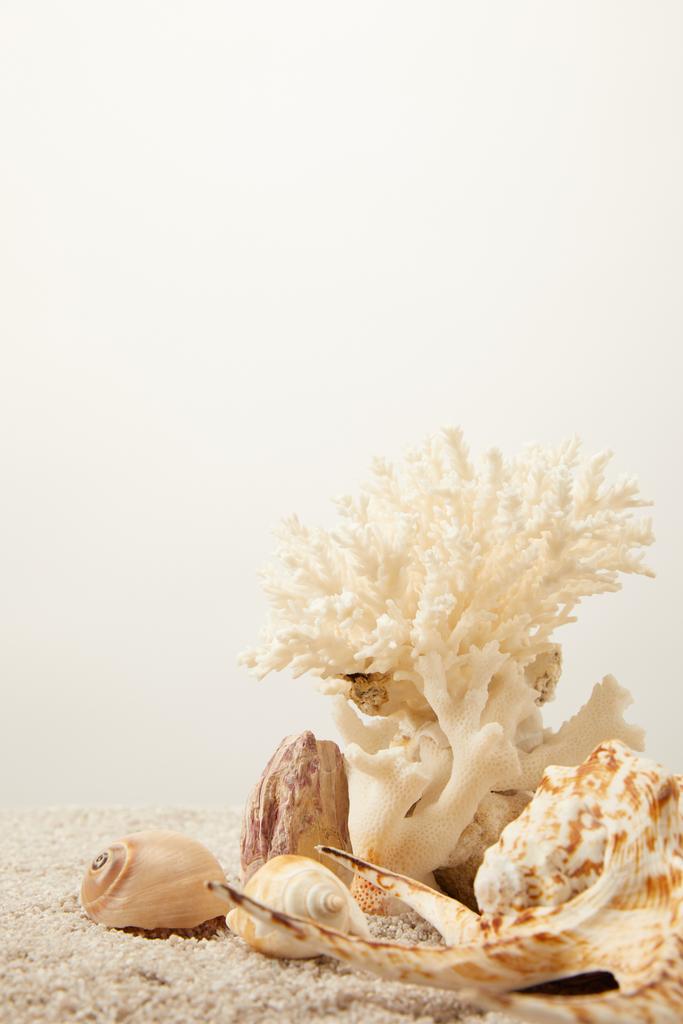 Nahaufnahme von arrangierten Korallen und Muscheln auf Sand vor grauem Hintergrund - Foto, Bild
