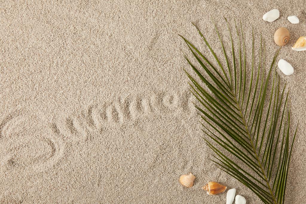 vista superior de hoja de palma verde, conchas marinas e inscripción de verano en la arena
 - Foto, imagen