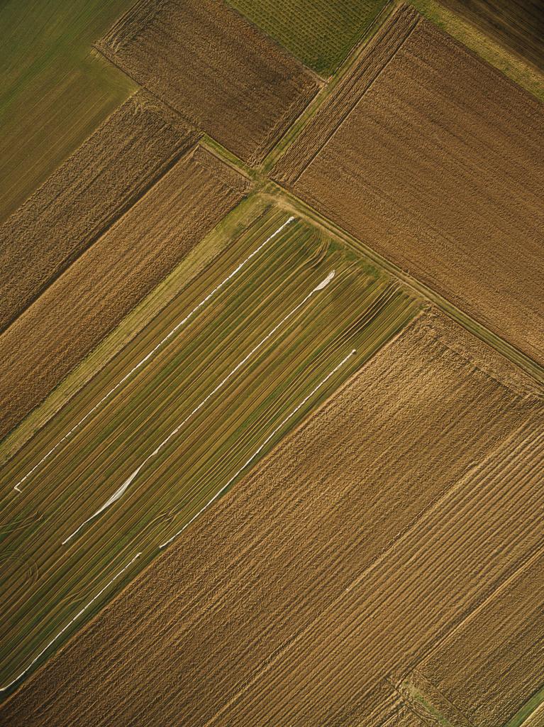 Antenni näkymä rivejä maatalouden aloilla, Eurooppa
 - Valokuva, kuva